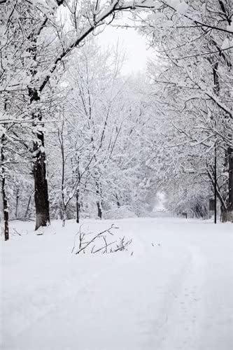 Loccor 6x9ft zimska scena pozadina uličica prekrivena gustim snijegom fotografija pozadina Božić vjenčanje