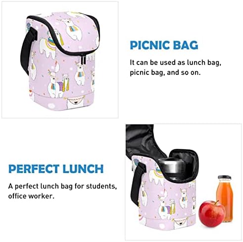 Guerotkr torba za ručak za žene, kutija za ručak za muškarce, Muška kutija za ručak, alpaka