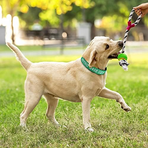 Shineao personalizirani najlonski ovratnik za pse: Prilagođeno izvezeno ime kućnog ljubimca i telefonski broj - sjajna tkanina / podesivi ovratnik za pse sa brzim izletama - 4 podesive veličine i 8 boja za štenad