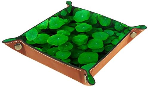 Zelena prirodna djetelina ostavlja kutiju za skladištenje ladice za ležaj Beddy Caddy Desktop Promjena tipke Novčanik Novčanik Kuhinjska ladica za skladištenje kućišta Valet, 20,5x20,5cm