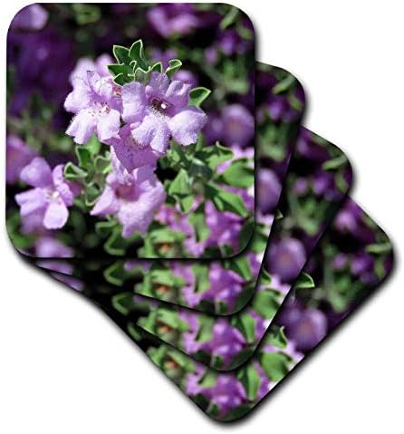 3drose lijepa lavendar cvijet sa detaljima i neke zamagljene-meke podmetači, set 4 , set-of-4-meka,