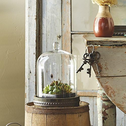 Stonebriar 9 inča Clear Glass Dome Cloche s rustikalnom drvenom bazom, antikne zvono zaslon za