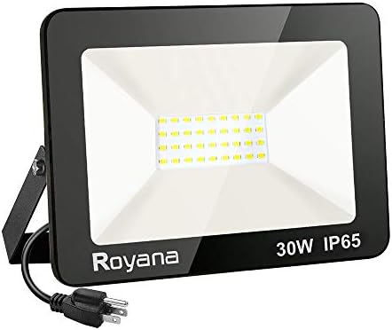 Royana 30W LED poplavna svjetlo sa utikačem, IP65 vodootporna LED svjetla, 6000K 3000LM Super svijetlo sigurnosno