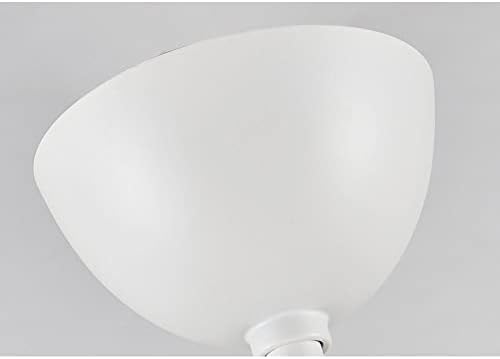 ACLBLK Nordic WOELD ventilatorski plafon ventilator LED lampica Jednostavnost Trikromatsko zatamnjenje ventilatorica