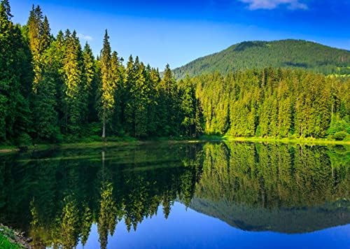 CORFOTO 9x6ft tkanina planinsko jezero pozadina crnogorična šuma pejzaž pozadina drveće odraz u