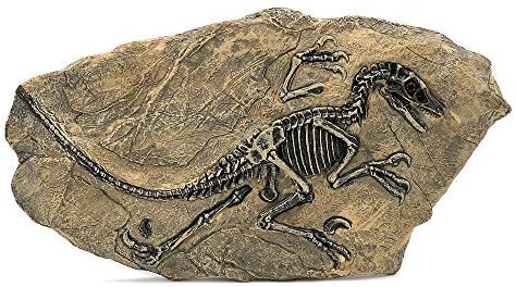 Mayagu 1pc 3418cm Resin Dinosaur fosilni specimen Jurassic Raptor fosil za kućni dekor
