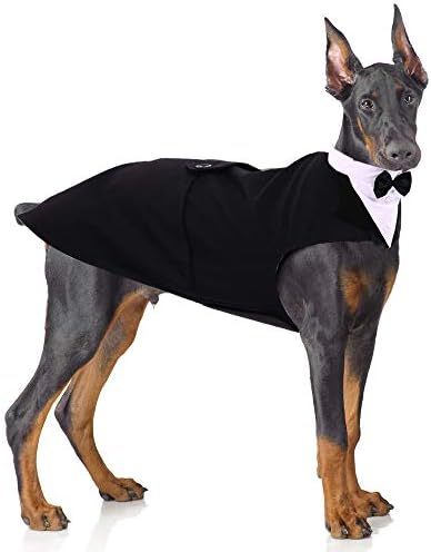 Formalni tuxedo za srednje velike pse, vjenčani kućni ljubimac luk kravate odijelo, gospodin pas ruha s bowtie, Husky Beagle Samoyed Bandana košulja Bandana, 2 kom, može se nositi zasebno