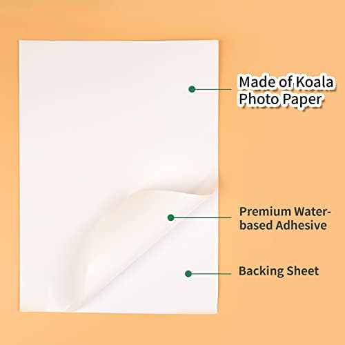 Koala papir za prozirne naljepnice za štampanje i sjajni papir za naljepnice za fotografije-paket paketa
