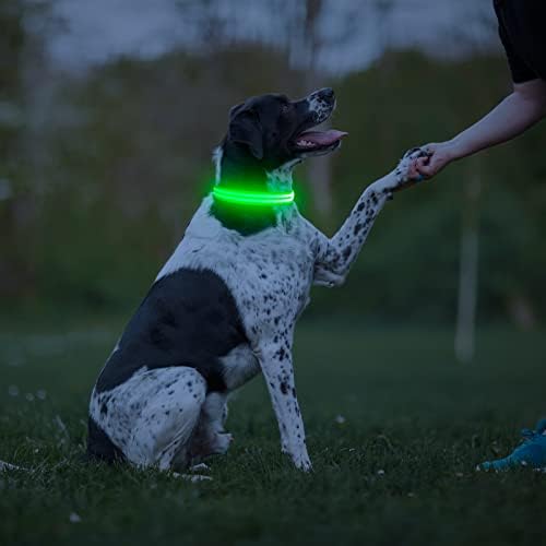 Higo Light up ovratnici - USB punjivi ovratnik za pse, sjaj u tamnim ovratnicima za pse, treperi pasa svjetla za noćno hodanje