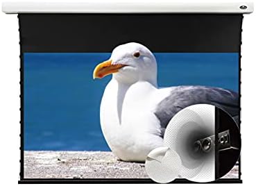 Vividstorm-Slimline motorizirana zatezana zatezanje zaslona Projektor perforirani prozirni akustički bijeli kino, 4K / 3D kućni kino, kompatibilan sa standardnim projektorom, VMSLPW100H