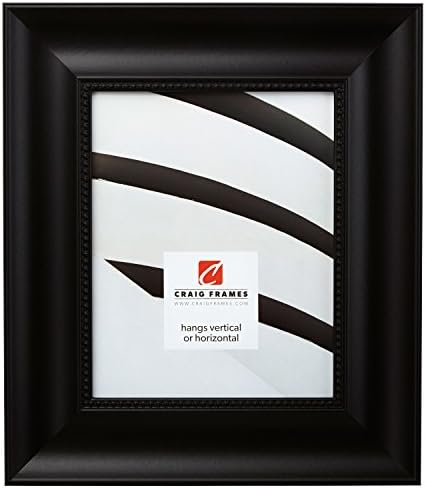 Craig Frames Lenox Ornate, tradicionalni crni okvir za slike, 24 x 36 inča