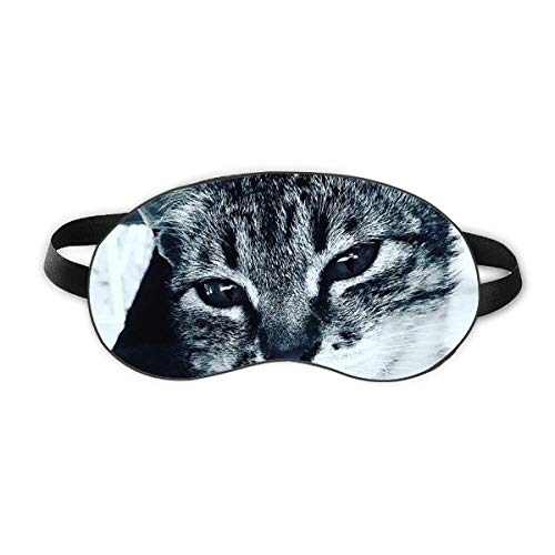 Životinjska cool siva mačka fotografija spavaj štitnik za oči meka noć za sjedište