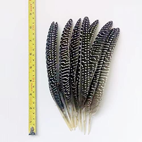 Prirodna gvineja pero pjegava perje za plovilo za cvjetne aranžmane za cvjetni aranžmani za vjenčanje