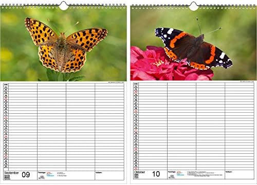 Porodični planer - Leptir Magic DIN A3 Kalendar za 2021 Butterfly - Poklon set Sadržaj: 1 x Kalendar, 1 x božićna kartica