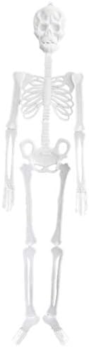 Zerodeko Manikin Body Halloween svjetleći kostur viseći dekor: 3 kom viseći sjaj u tamnom kosturu okvir lobanje