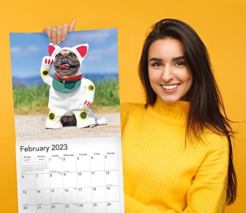 Zidni kalendar pasa 2023 Mesečni - 12 x 24 Otvoreno - Slatki kostim obučeni igrač štenad Fotografija - čvrste
