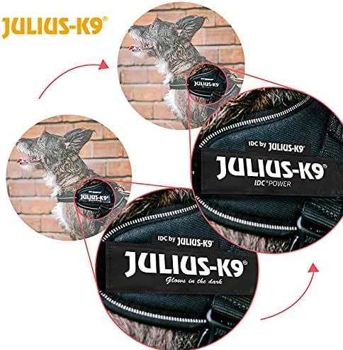 Julius-K9 IDC Powerharness, Veličina: M / 0, Tamno ljubičasta