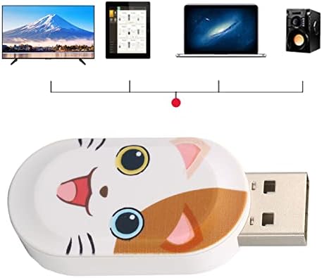 Cartoon USB 2.0 Flash Drive, slatka mačka uzorak USB priključak za stick i reproduciraj prijenosni u disk računarski dodaci, USB memorijski stick