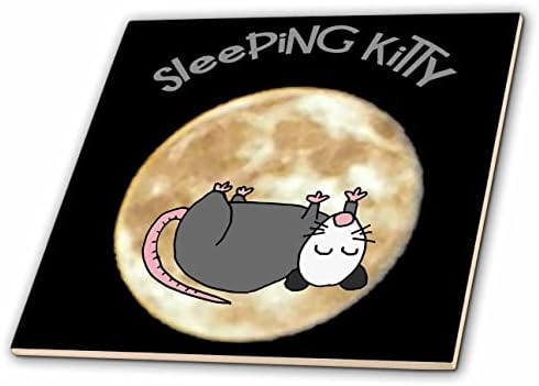 3drose Funny slatka oposum i puni Mjesec spava Kitty Pun Opossum Cartoon-Tiles