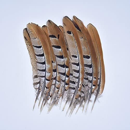 10kom prirodni fazan perje za zanate 15 - 20cm pero Decor Party nakit rukotvorina dodatna oprema