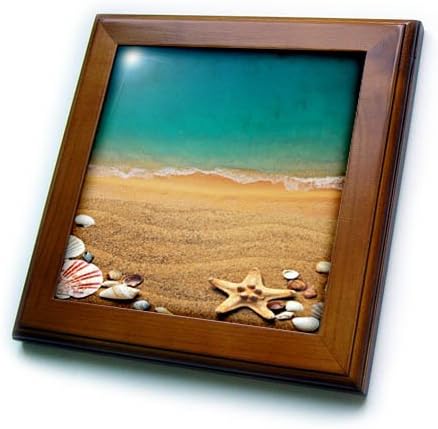 3drose slika plaže Florida Gulf sa morskim zvijezdama n granata uokvirena pločica, 8 x 8