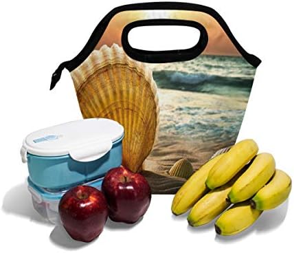 HEOEH Seashell Seaset torba za ručak na plaži Cooler Tote Bag izolovana kutija za ručak sa patentnim