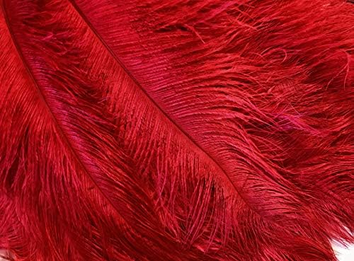 10 Pieces-11-13 crveno Izbijeljeno & amp; obojene Nojeve Drabe tijelo perje središnji komad kostimske