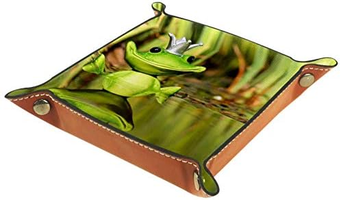 Aisso Valet Tray Fun Frog Printing kožni ladice za nakit kutija za organizatore za novčanike, satove, ključeve,