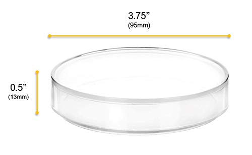 12pk plastike Petri posude sa poklopcima - 3.75 Prečnik, 0.5 dubina - oblikovan u polipropilena