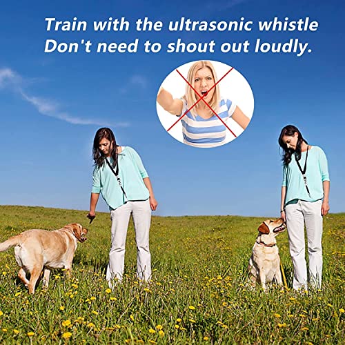 2 zviždaljka za pse sa vezicom, podesivi ultrazvučni zvižduk Tihog psa, obuka opoziva, obuka ponašanja