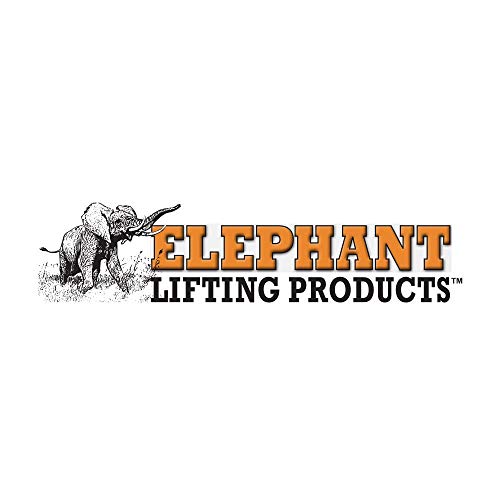 Elephant Lifting sa Serija Sa-050-20 1-fazna električna lančana dizalica, Jednostepena brzina, kapacitet 1100