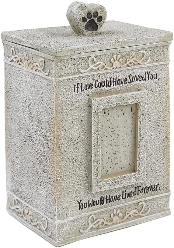 The Lakeside Collection Love could Save you Pet Memorial Urn with photo Slot and Paw Print, Grey