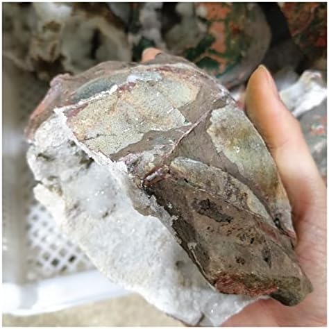 Omuci agate Prirodni kamen kvarcne mineralne rude uzorak grube sirove stijene Geologijske studije