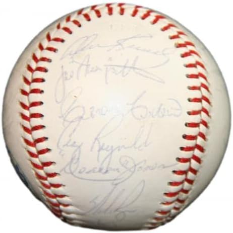 1981 Huston Astros tim potpisao je bejzbol autografirao Ryan Sutton Cedeno 91106B40 - AUTOGREM BASEBALLS