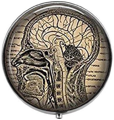 Anatomski Mozak - Kutija Za Anatomiju Ljudskog Mozga-Kutija Za Pilule Neurologa Za Studente