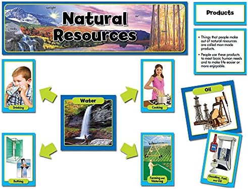 Creative Teaching Press Mini Set Oglasnih Ploča, Prirodni Resursi