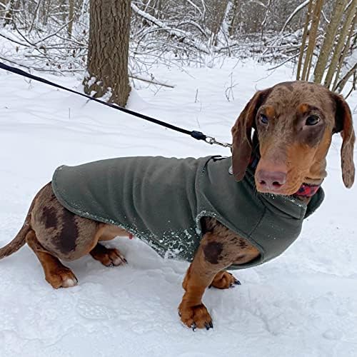 Set 3 džemper sa psom sa povodljivim prstenom Fleece PET štene prsluk Zimska pad odjeće za malog psa Boy Male Chihuahua Yorkies,
