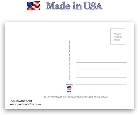 WASHINGTON STATE karta razglednica set 20 identične razglednice. Postavite kartice sa wa mapom i državnim simbolima. Napravljeno u SAD.