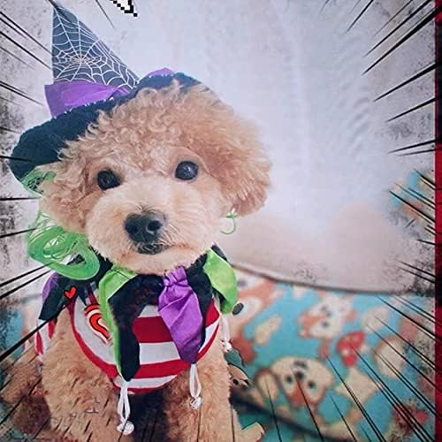 Aniac Pet Halloween kostim pas mačak pauk vještica i ovratnik set Puppy Magic Wizard Cap Holiday