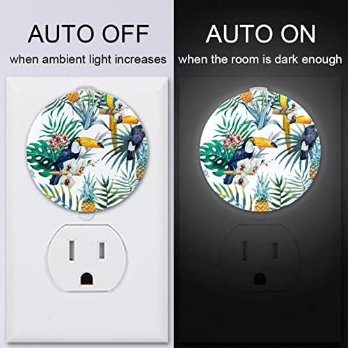 2 paketa Plug-in Nightlight LED noćno svjetlo sa senzorom sumraka do zore za dječiju sobu, rasadnik, kuhinju, hodnik akvarel tropske ptice biljke ananas