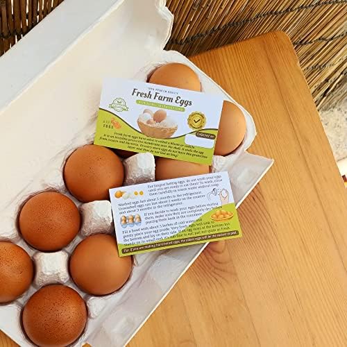 Havongki-200kom-Premium Fresh Farm Eggs Handling uputstva pribor za njegu kartice naljepnice
