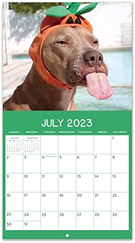 2023-2024 Zidni kalendar - Slatki štenad Zidni kalendar 2023-2024, Zidni kalendar zabavnih pasa, jul. 2023.