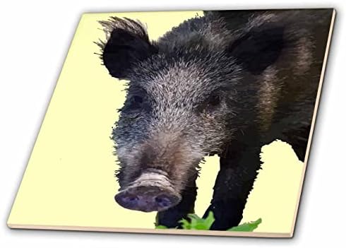 3Droza Taiche - Vector Art - Wild Boar - Boars Comport Contact Vector Art - Pločice