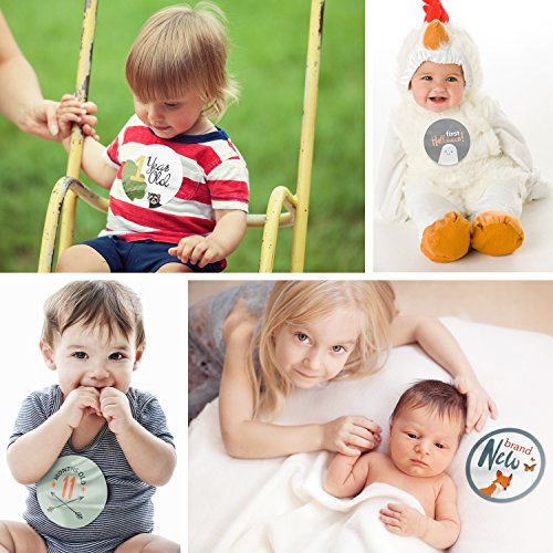 Rubyroo Baby Milestone naljepnice - Naljepnice za bebe za dječake za bebe - 28 pakovanja - uključuje 12 mjesečnih, 1. godina prekretnica i prvi odmor - savršen tuš za bebe i poklon za rođendan u novorođenčadi