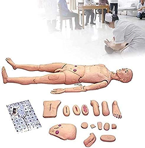 Tuozhe multifunkcionalno sestrinstvo manikin 170cm simulator za njegu pacijenata muški i ženski ljudski