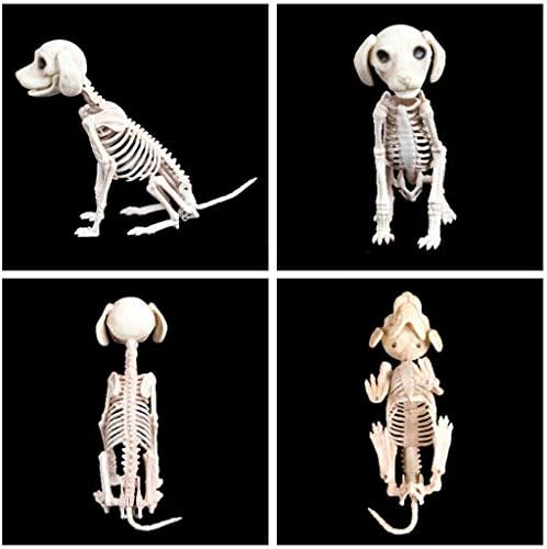 Prop pas Halloween Skeleton Party Bones kosti Horror Dekoracija životinja Obrazovanje četverogodišnjeg pansiona